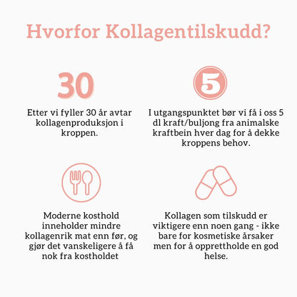 KOLLAGEN 2 + HYALURONSYRE + FURUBARK